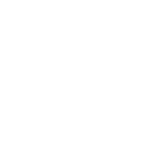 DHL 2
